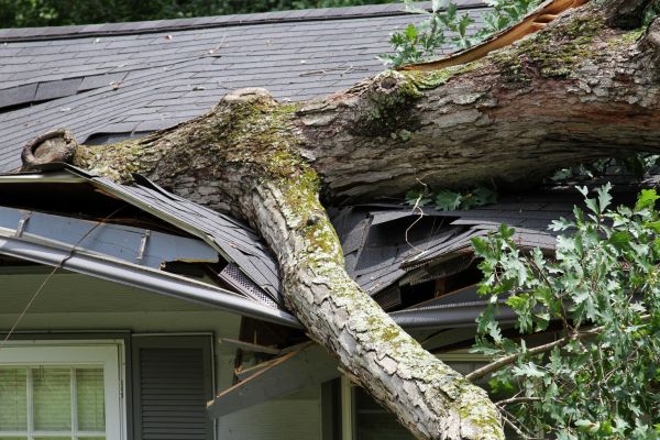 Cost of Storm Remediation in Saint Paul