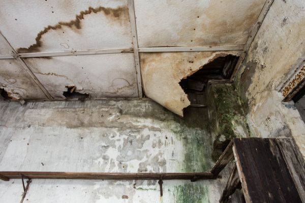Water Damage Service in Saint Paul