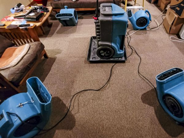 Cost of Flood Damage Recovery in Saint Paul