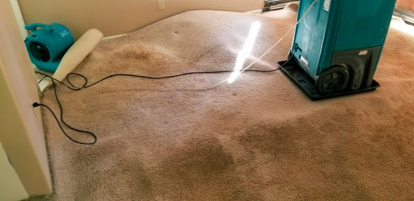 Carpet Water Extraction in Saint Paul