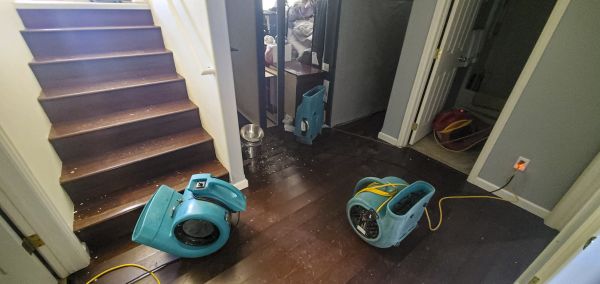 Water Damage Remediation in Saint Paul