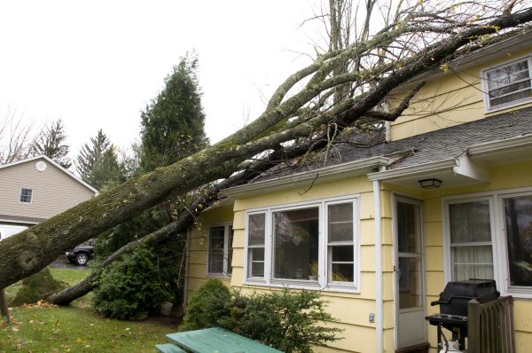 Hurricane Damage Repair in Saint Paul